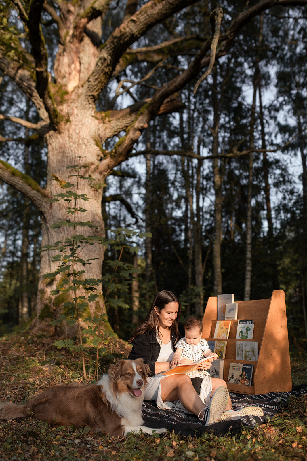 Montessori Bookshelf – Rainis – Inspire Independent Reading