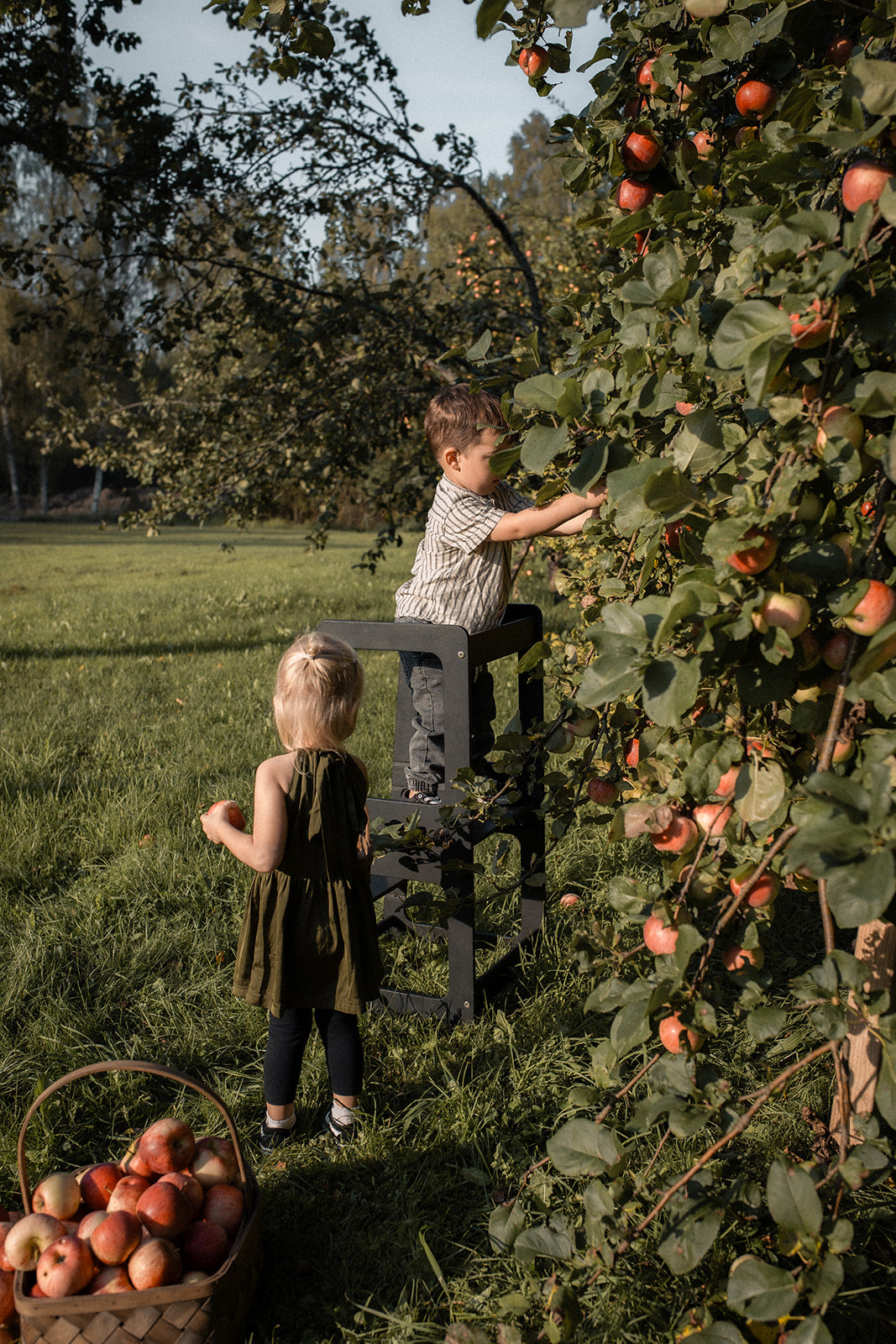 Montessori Kitchen Tower – Milda – Reach for the stars and new heights