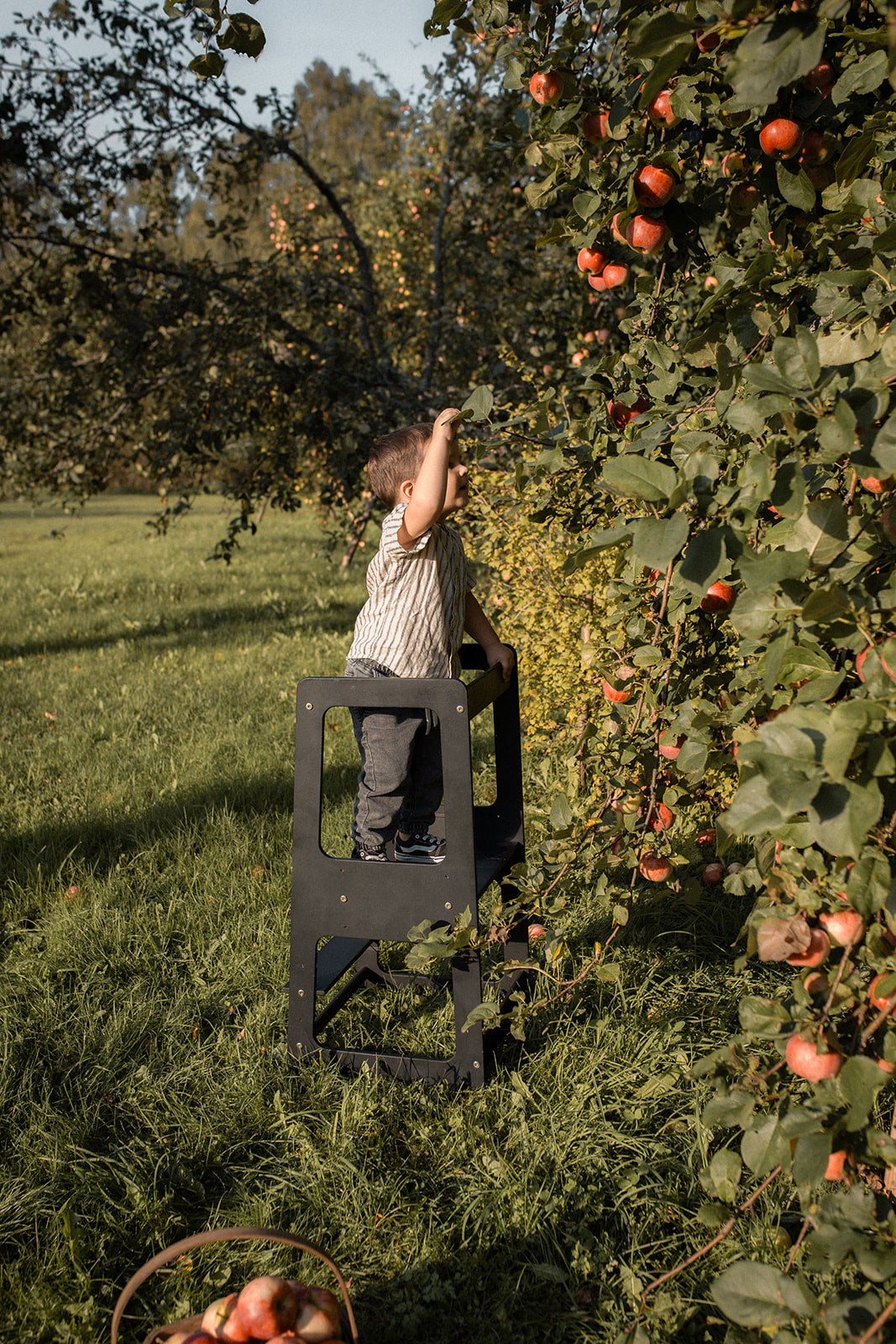 Montessori Kitchen Tower – Milda – Reach for the stars and new heights