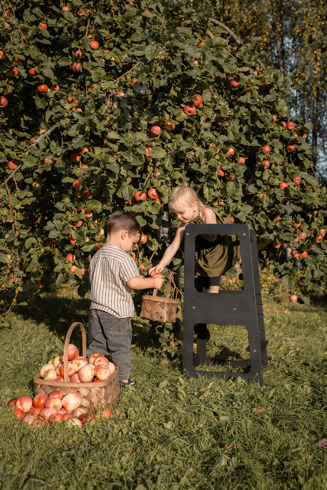 Montessori Kitchen Tower – Milda – Reach for the stars and new heights