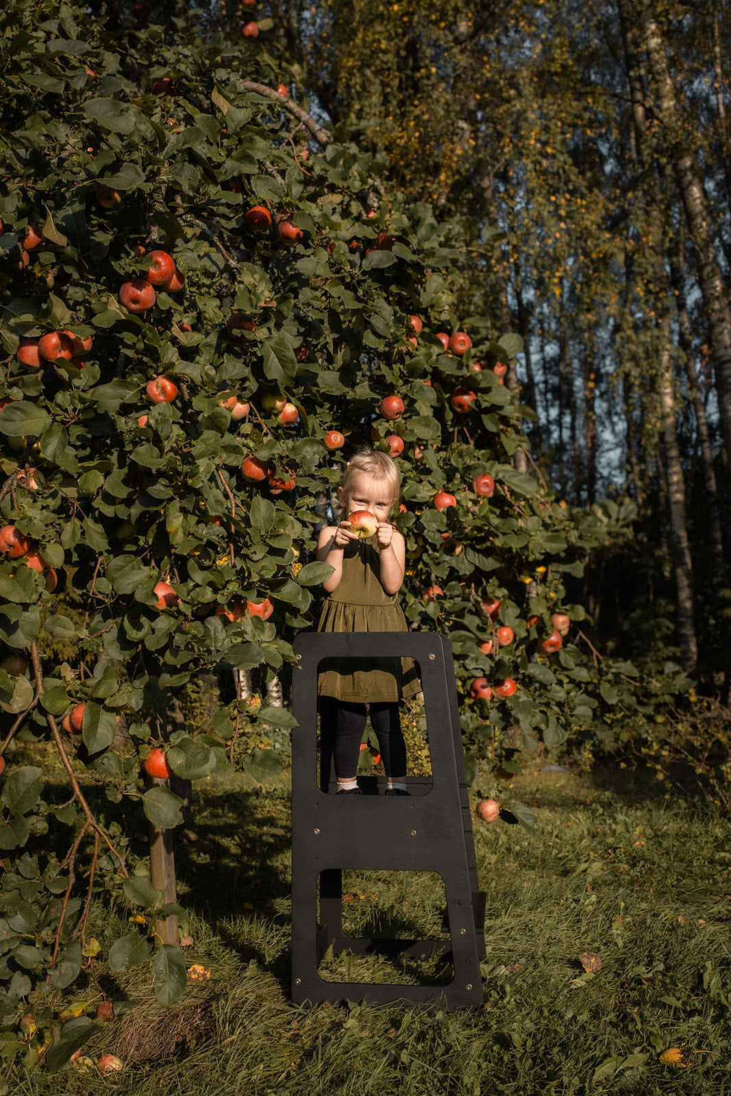 Montessori Kitchen Tower – Milda – Reach for the stars and new heights